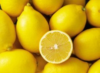 iStock_000003533182XSmall.jpg